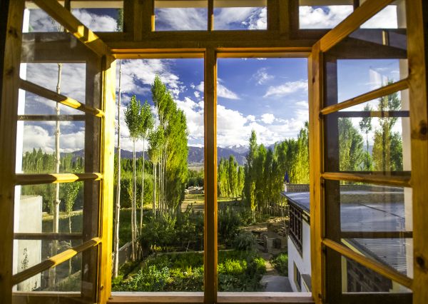 Cost of Wood Window Replacement in Hendersonville